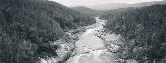 Silver Ghost: Pinware River, Labrador, 2003, by Thaddeus Holownia