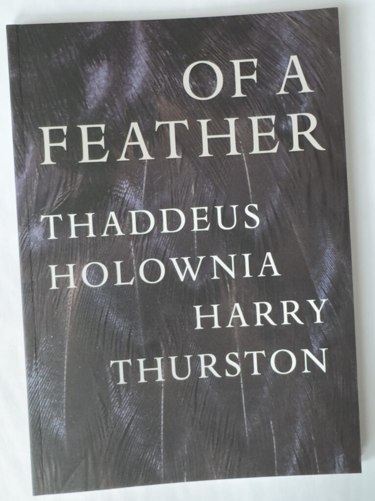 of a feather (cover)